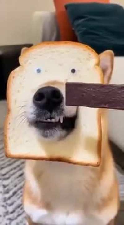 Mr. Toast😅