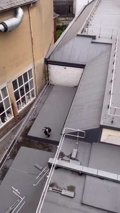 Top parkour of 2025