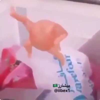 [Arabic&amp;gt;English] Man finds dancing chicken, anyone know what he's saying?