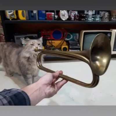 ik🎺ihe