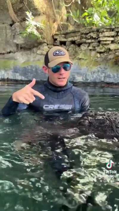 How this guys handles the alligator