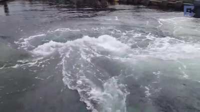 The water at this harbor is so deep that even a humpback whale can breach out of it without being noticed beforehand.