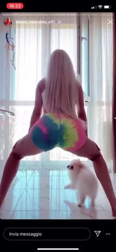 Lucky dog part 2