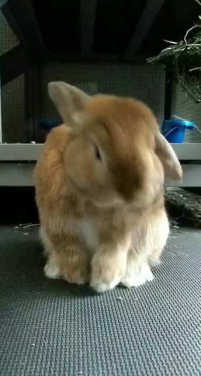 I got caught filming him
