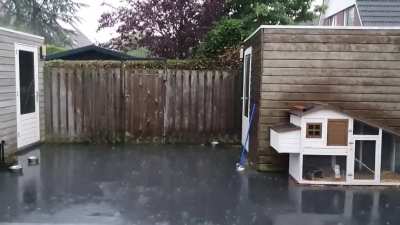 ASMR rain with a surprise lighting flash at the end.