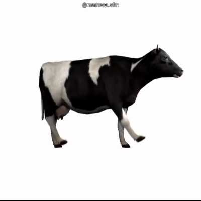 First Animation c:
