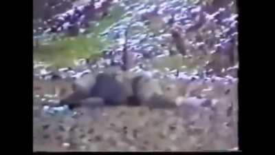 Chechen &amp;amp; Arab fighters ambushes a Russian convoy, Second Chechen War - year 2000.
