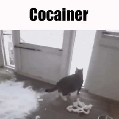 cocaine's one hell of a drug