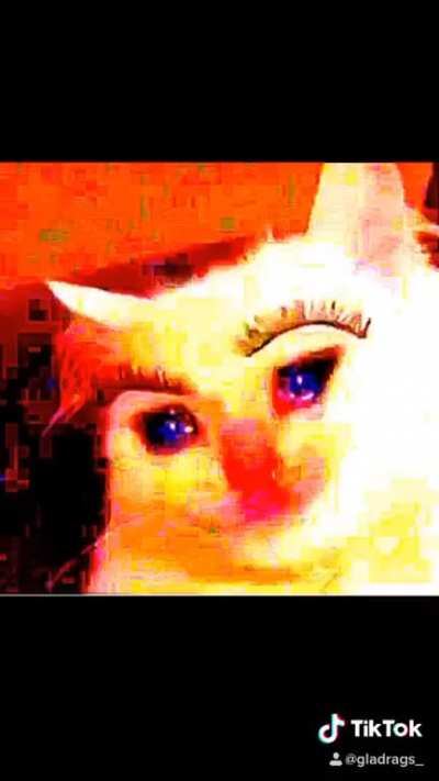 Cursed_puttytats