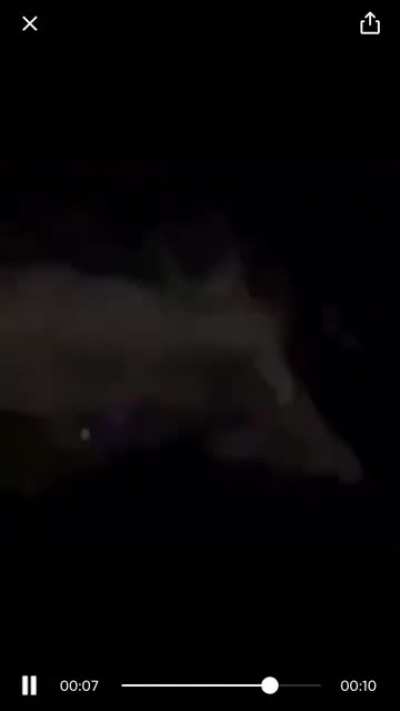 cursed_motherfucking truck