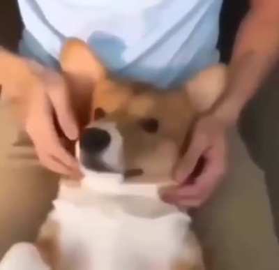 *&aelig;*