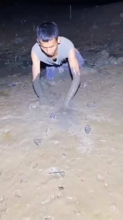 Wtf 😳