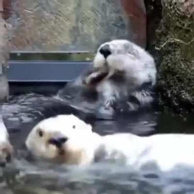 Водные процедуры