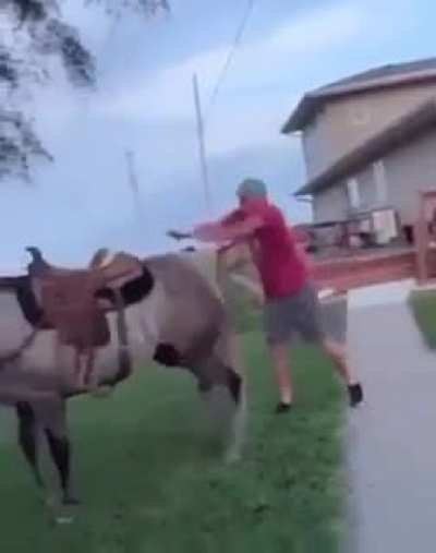 Jumping onto a horse&hellip; maybe not the smartest decision