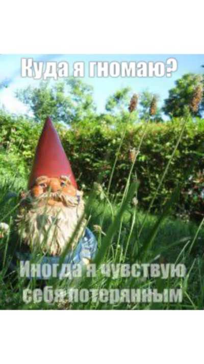 Гномья мудрость