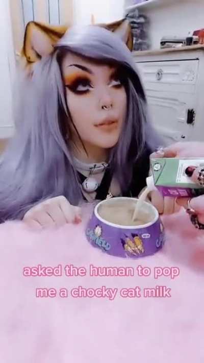 Chocky Cat Milk