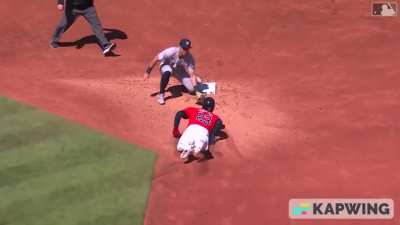 Yankees Vs. A Thieving Guardian Scorpion