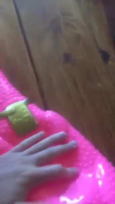 Old MacDonald had an AAAAAAAA