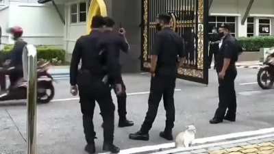 When you&rsquo;re on duty and you also Love cats&hellip;
