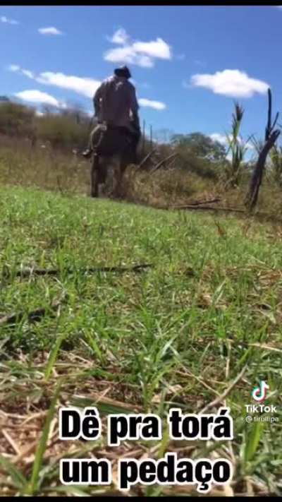 vai arroxe !