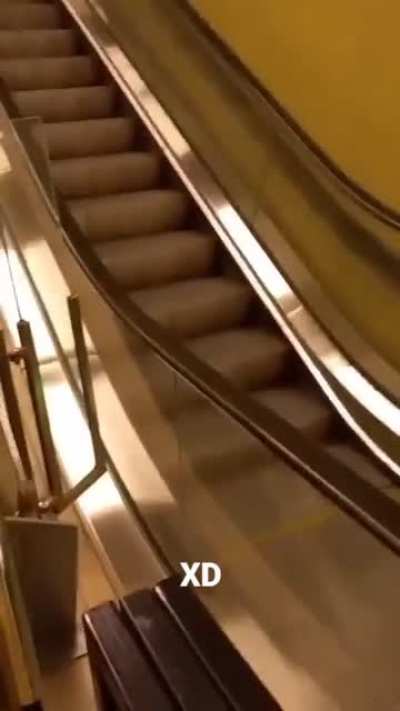 XD