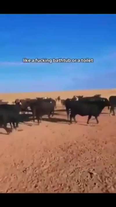 Aæ