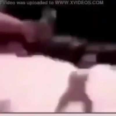 Cursed_Monkey
