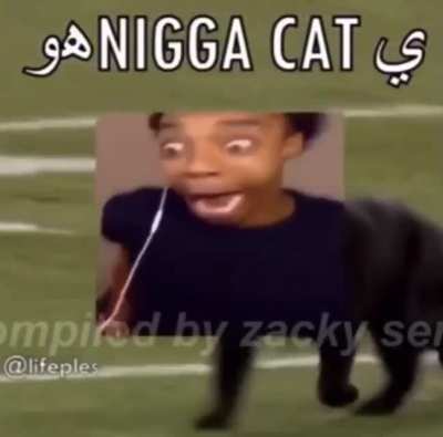 fuck you i dont want a title
