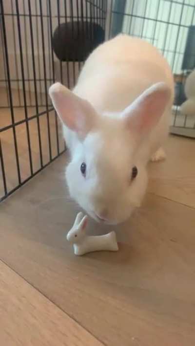 Imposter!