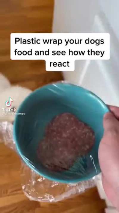 I don't think it liked it