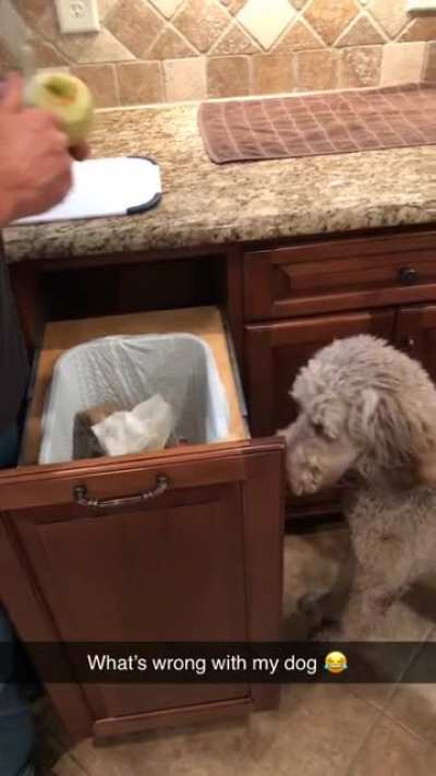 This happens every time we make apple pie