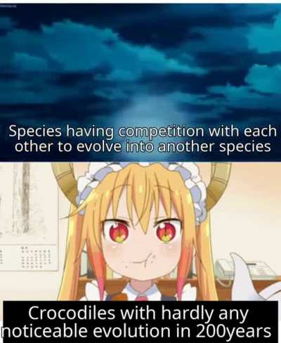 No design change in crocs