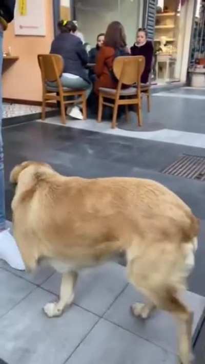 Sir, could you do that again , Please ?