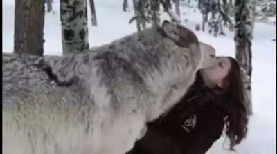 The north remembers