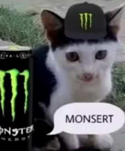 What&rsquo;s your fav? I fw Monsert ngl