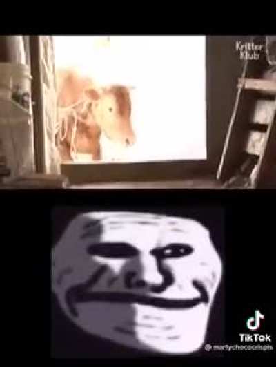 Tenso man
