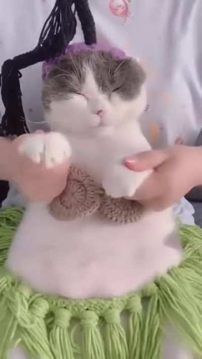 Танец живота
