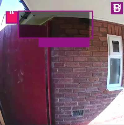Guy spends 2 years destroying disabled neighbours ring doorbells