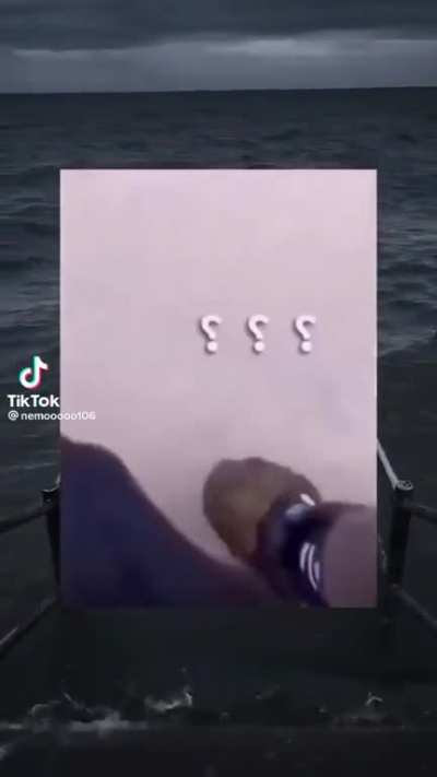 Tae?
