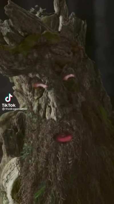 Hmmmm mushroom....