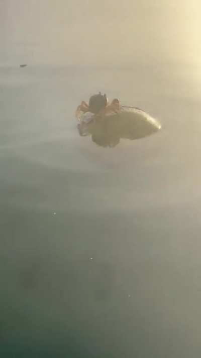 They see me floating, they hating