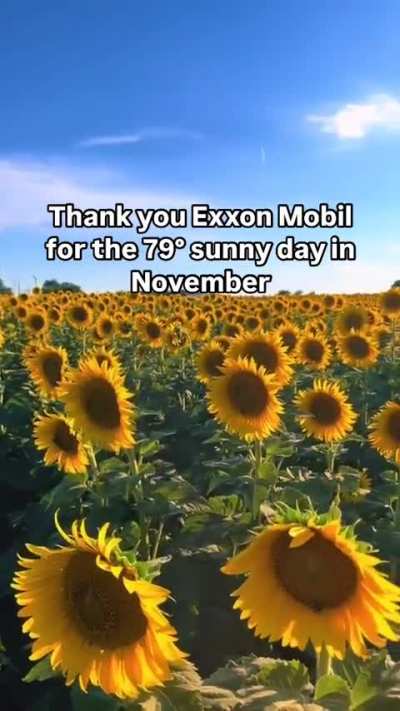 💫Exxon Mobil💫