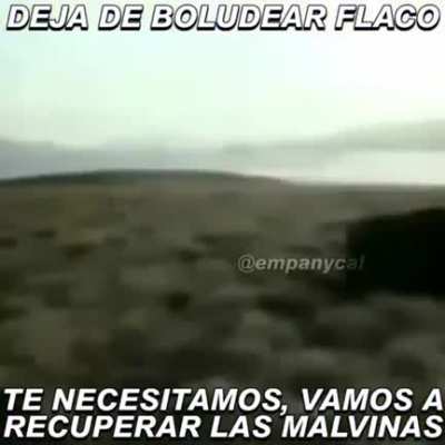 No boludees