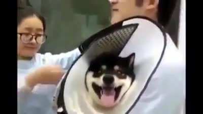 Sorry if repost.