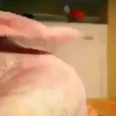 Chicken 🐔.