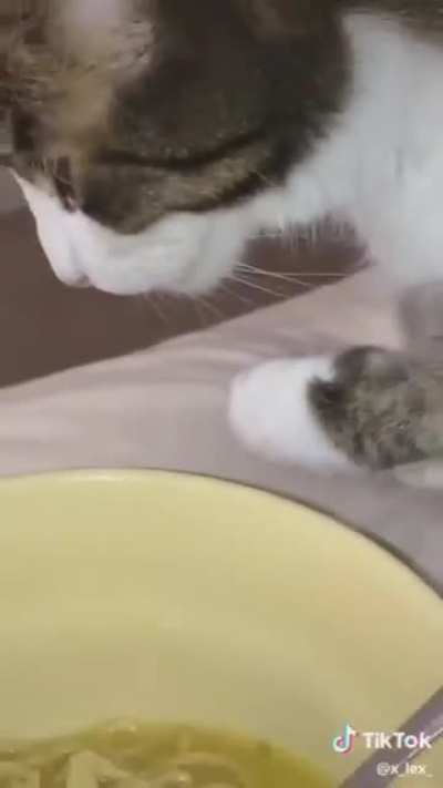 He's like "damn is this what Hoomans get to eat?"