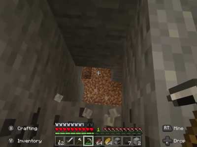 So my little brother was playing minecraft