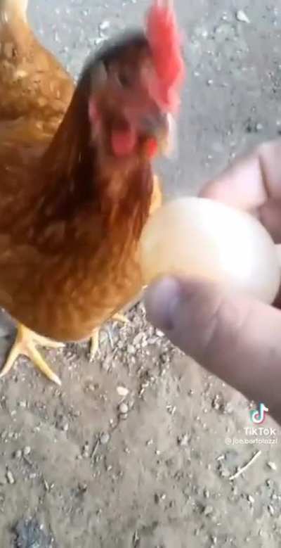 Somebody laid an egg without a shell