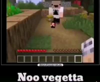 NoOOoOo vegettaaa