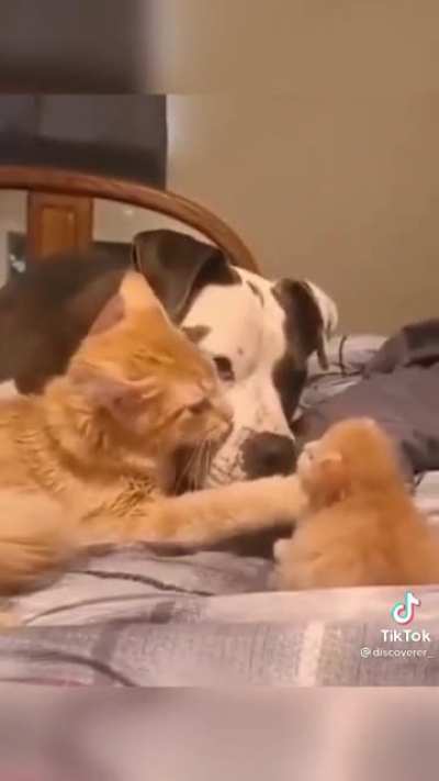 &ldquo;This is my baby and you gotta be gentle..like this&rdquo;